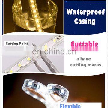 5050 Strip Waterproof Flex Rope LED Light for Wall Outdoor Decoration photo-5