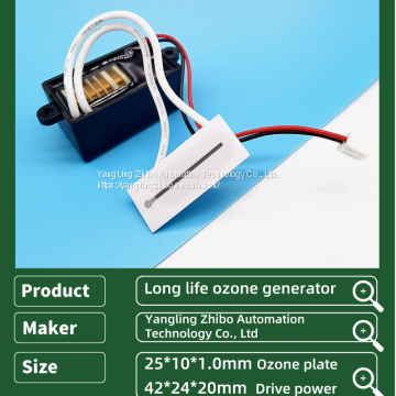 12V-100mg Ozone Generator 37*15mm Ozone Plate Air Purification and Disinfection photo-4