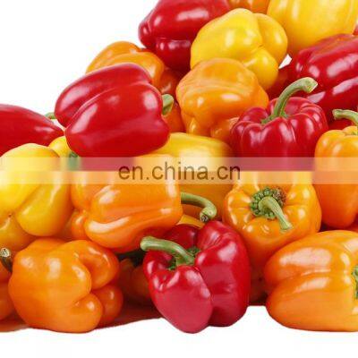 Chinese price frozen red pepper frozen red chili with good quality and moderate