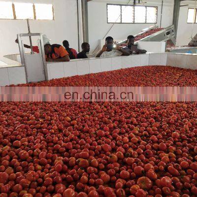 Tomato Processing Plant photo-5