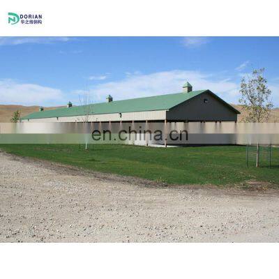 automatic small goat poultry house chicken house without cleaning equipment