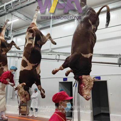 WFA Livestock Abattoir Cow Slaughtering Equipment Blood Trough for Slaughterhouse Machinery photo-5