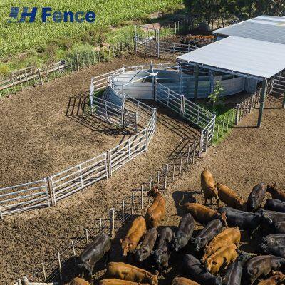 Quick-Deploy Cattle Panel: Ready-to-Use Design Enables Rapid Enclosure Setup Without Specialized Tools or Skills