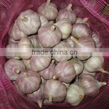 white garlic for export brand new,white garlic clear garlic, year garlic,fresh garlic, chinese garlic