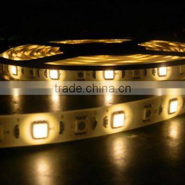 DC12V Dc24v SMD 5050 LED Strip RGBW photo-3