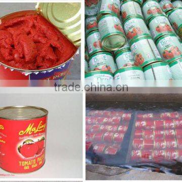 850g tomato paste to tomato sauce and tomato puree