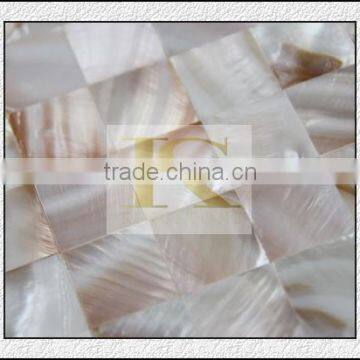 different types of natural convex shell tooth wall decorative material in stock