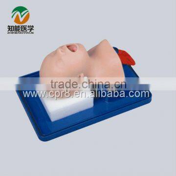 Neonate Head for trachea Intubation model