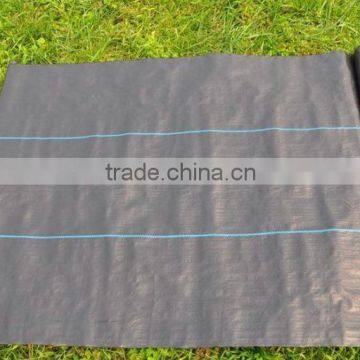 Garden ,horticulture Pp/pe Plastic Weed Mat Control Textile Soft Cloth photo-5