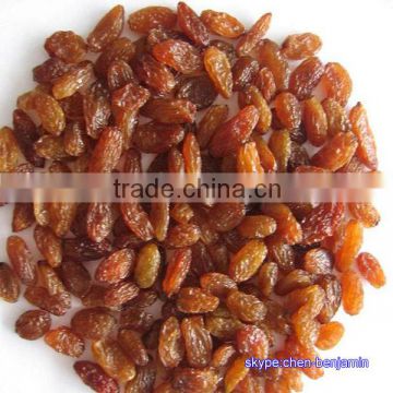 Raisins/different types of seeds