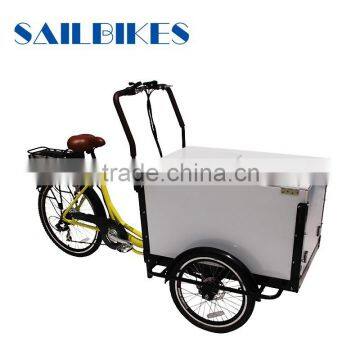 electric tricycle cargo for family