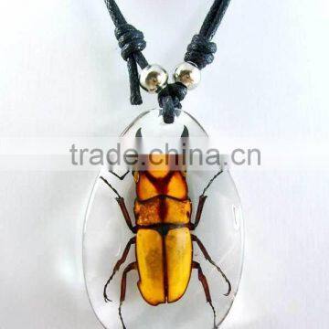 Real Baltic Insect Amber Bead Necklace Design photo-5