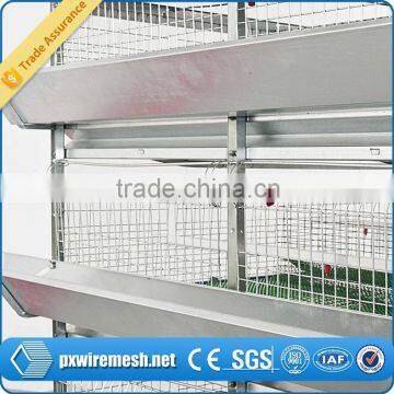 NEW TYPE cage for quail hens/quail breeding cage/automatic quail cage