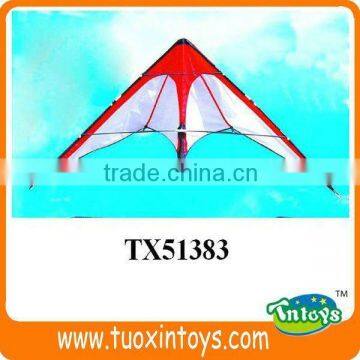 the Chinese Promotional Pocket Kite Factory photo-2