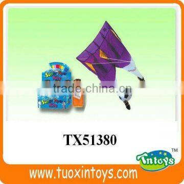 the Chinese Promotional Pocket Kite Factory photo-5