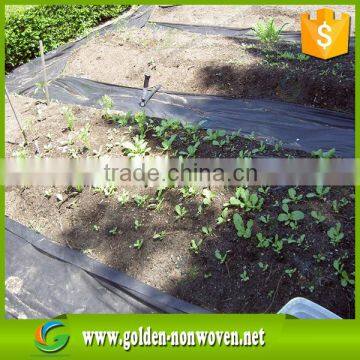 PP Agricultural Nonwoven Fabric, Anti UV Treated pp Spunbond Non-woven Fabric, Agriculture Nonwoven Fabric for Fruit,plant