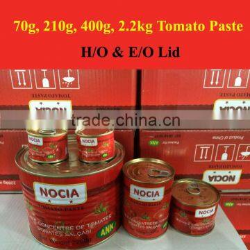 Tomato Paste Can Factory