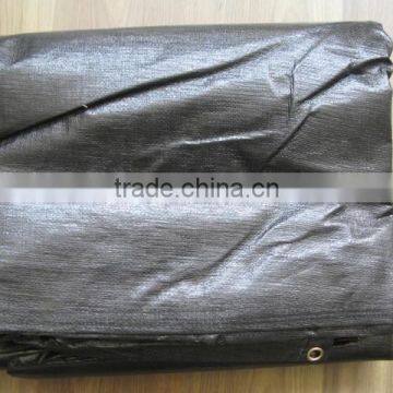 PE Tarpaulin black color for truck cover