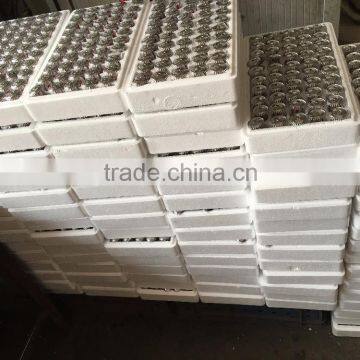 Glass Bulb Fire Sprinklers for Fire Fighting Equipments Factory Price photo-5