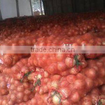 cold storage for onion