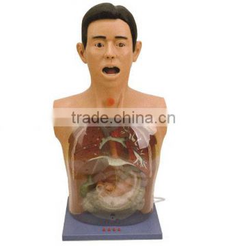 MCT-KN-009 010 Advance Transparent Gastric Lavage Simulator