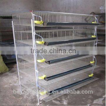 Quail Battery Cages poultry farm control shed For Sale