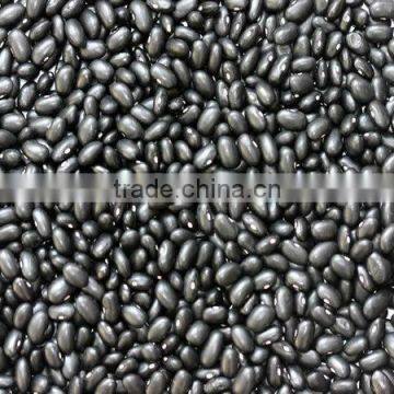 Small black kidney beans 2013new crop