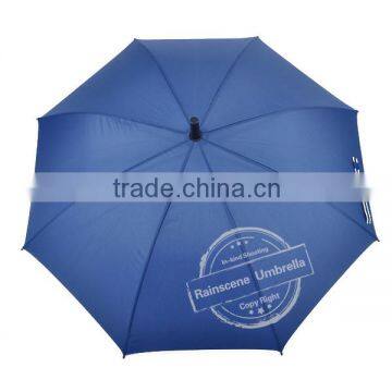 Umbrella Manufacturer China Promotion Umbrella photo-2