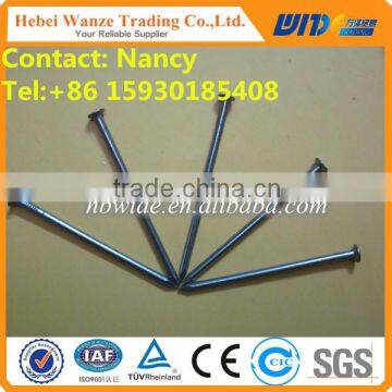 Top Quality Concrete Steel Nails