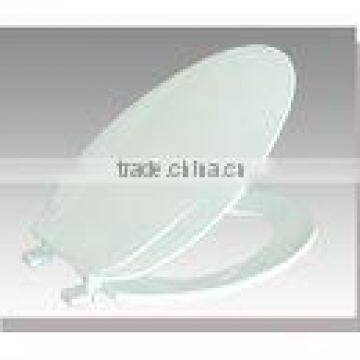 Eco-Friendly Plastic Toilet Seat