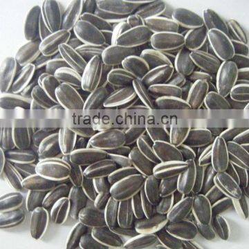 Raw Sunflower Seeds 0409 Stye photo-3