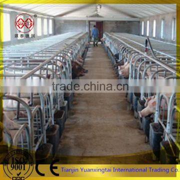 galvanized pipe for steel pig gestation stall/gestation stalls