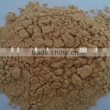 Ginger extract powder-YY spice