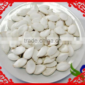 Salted Snow White Pumpkin Seed Best Selling