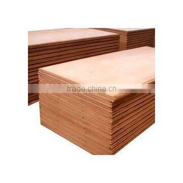 Container Plywood photo-3