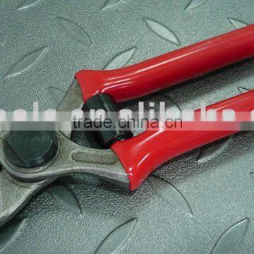 Apple Pruner/plier