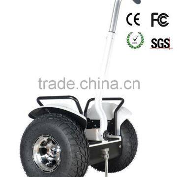 China Best Citycoco 19inch 2000w Fastwheel Electric Scooter in Stock photo-4