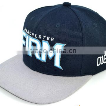 Wholesale Famous Brand Snapback With 3D Embroidered Logo