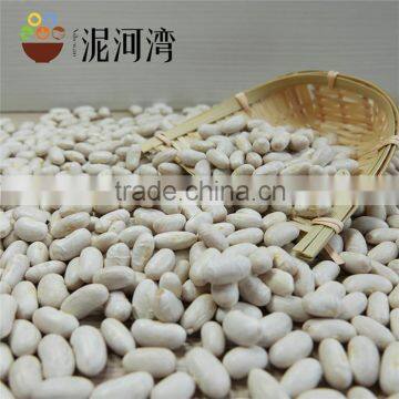 kidney bean white kidney bean 2016 crop high quality