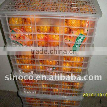 2011 New Crop Sweet Mandarin From China