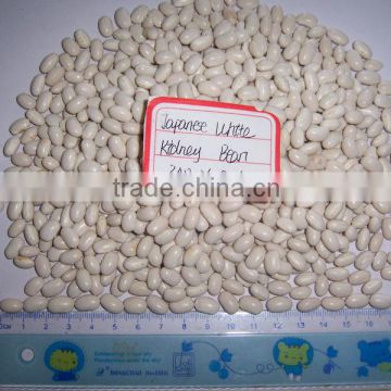 2014 different varieties of white kidney beans from China with cheap price