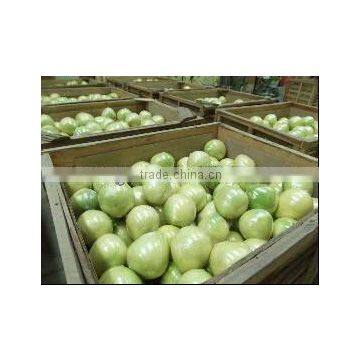 Fresh Guanxi Honey Pomelo Top Grade Pomelo