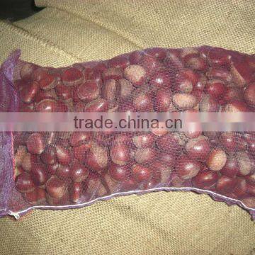 Import Fresh Chestnut from Supplier