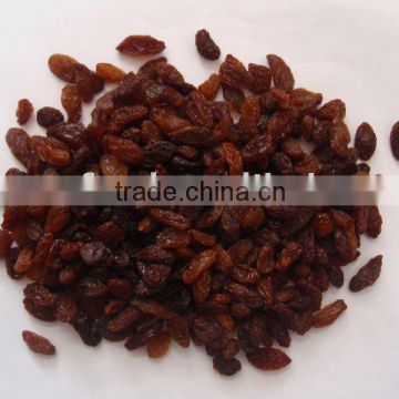 Sultana Raisin jumbo