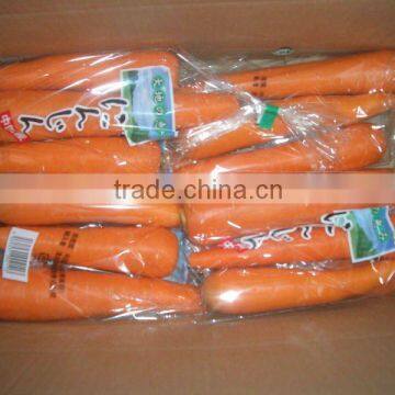 2012 Hebei NEW FRESH CARROT