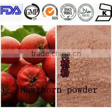 High quality instant hawthorn juice powder for food additive