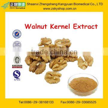 Pure natural walnut kernel extract powder