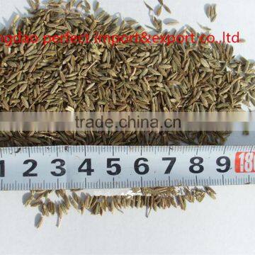 Spice Cumin Seeds photo-4
