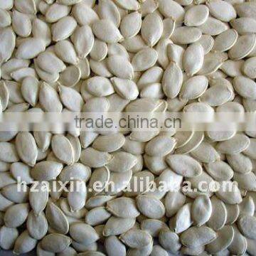 Snow White Pumpkin Seeds in shell