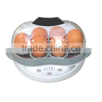 Hot Selling Egg Cooker